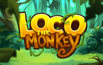 Loco the Monkey